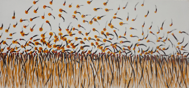 Polinización en el campo